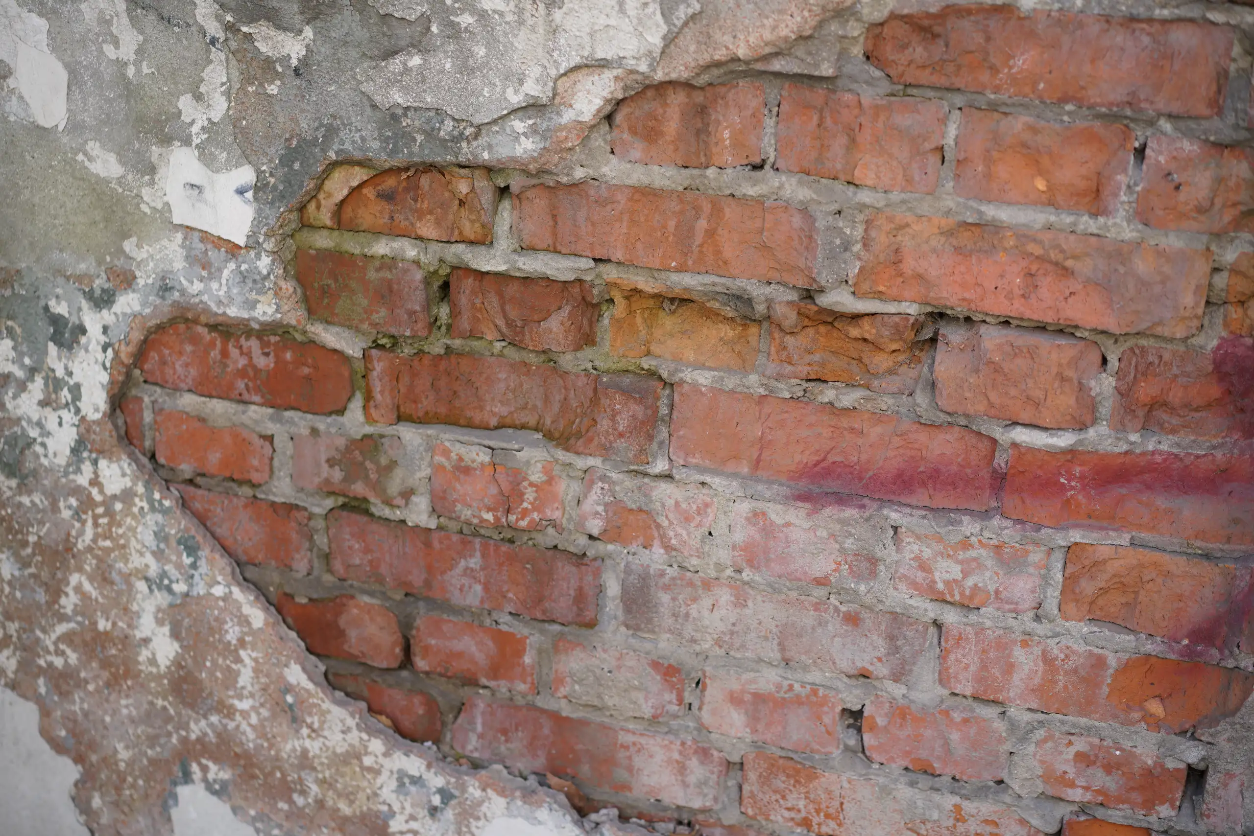 haus sanieren kosten